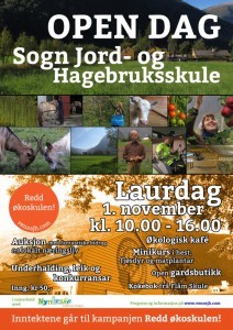 OPEN-DAG-plakat